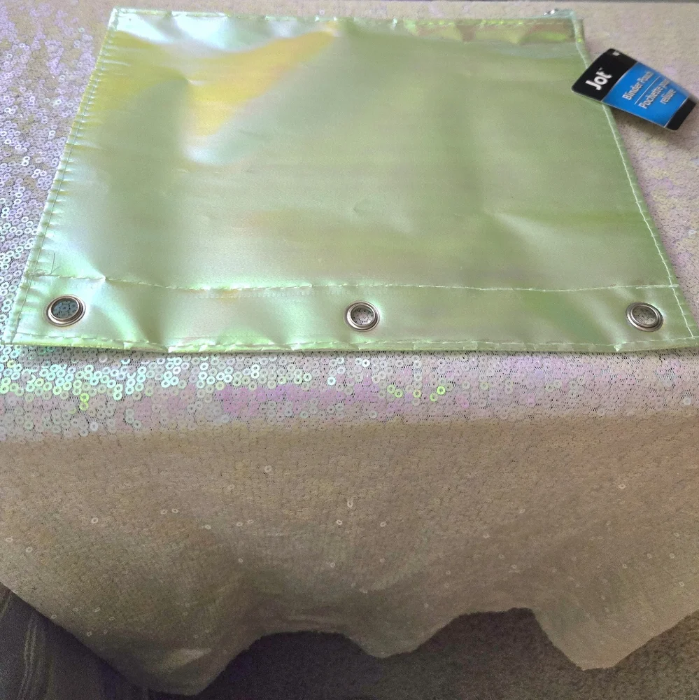 💥5/$10💥 Irridescent green 💚 zipper bag